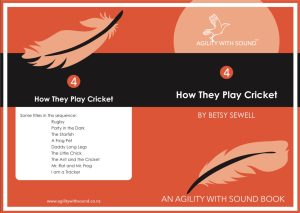 How They Play Cricket