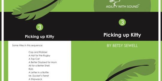 Picking Up Kitty