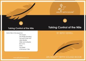 Taking Control Of The Nile