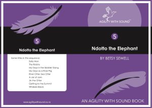 Ndotto The Elephant