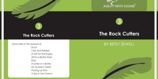 Level 3 The Rock Cutters