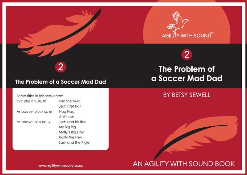 Book 2-13 'The Problem of a Soccer Mad Dad'